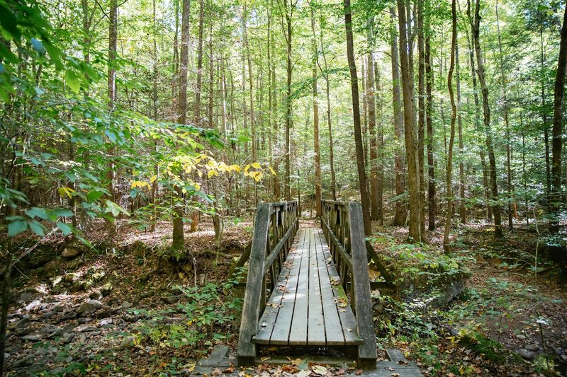 What To Know Before Exploring Frozen Head State Park What To Know Before Exploring Frozen Head State Park