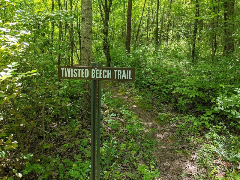 What To Know Before Visiting Black Oak Ridge Conservation Easement What To Know Before Visiting Black Oak Ridge Conservation Easement