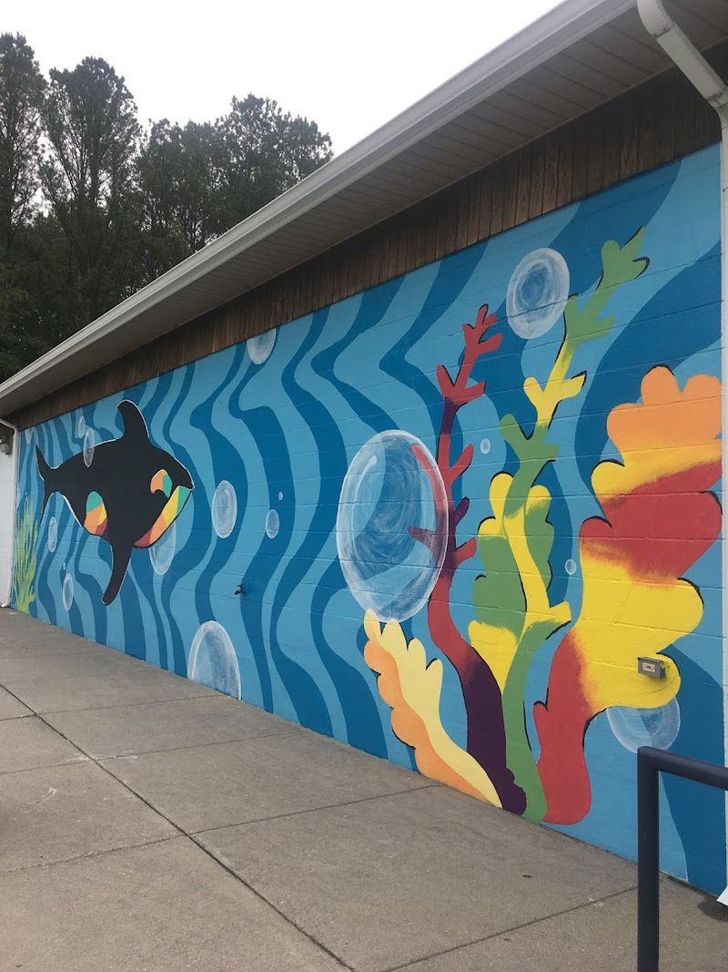 What To Know Before You Visit Oak Ridge Outdoor Pool What To Know Before You Visit Oak Ridge Outdoor Pool