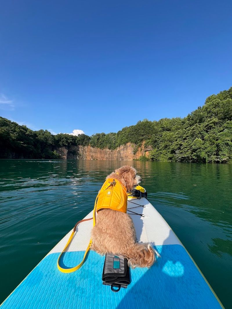 What Visitors Can Do at Fort Dickerson Quarry What Visitors Can Do at Fort Dickerson Quarry