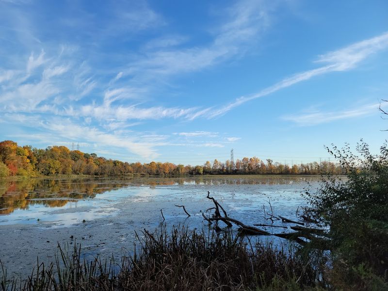 What Visitors Can Still Find Around Spring Lake Today