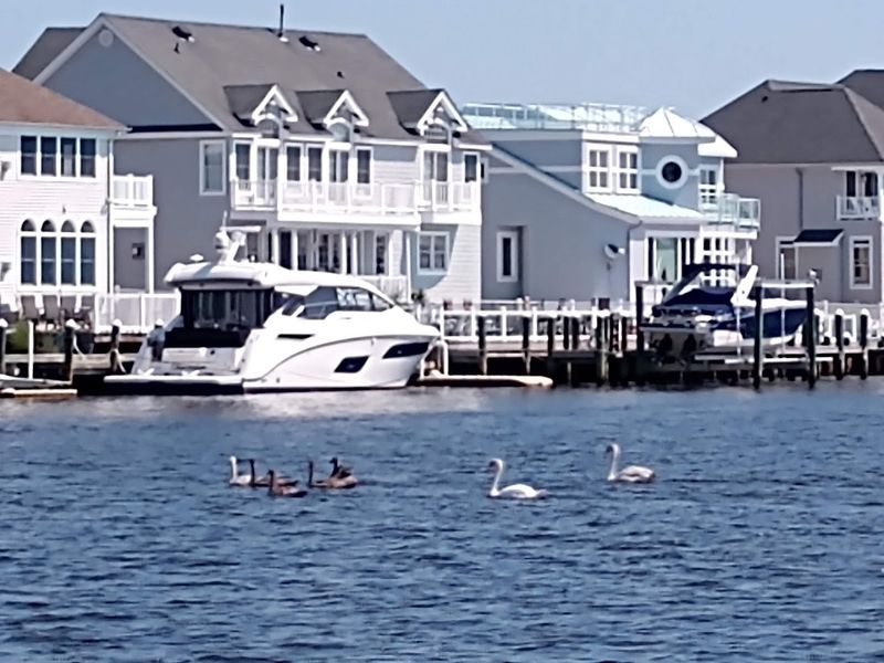 What makes these waterfront homes different from typical shore houses
