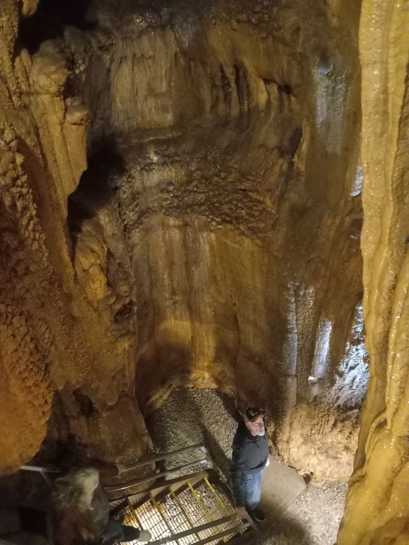 What the Guided Cave Tour Is Really Like
