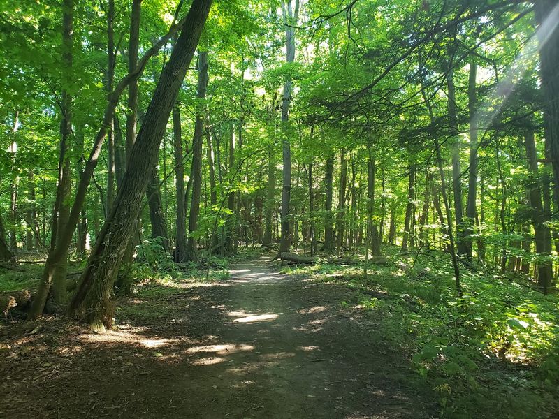 What the Hike Actually Feels Like What the Hike Actually Feels Like