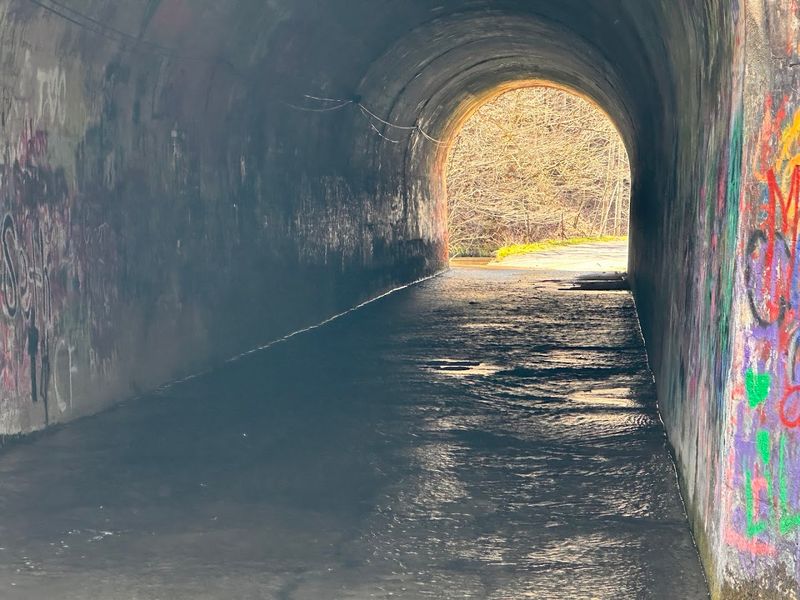 What the Tunnel Actually Looks and Feels Like in Person What the Tunnel Actually Looks and Feels Like in Person