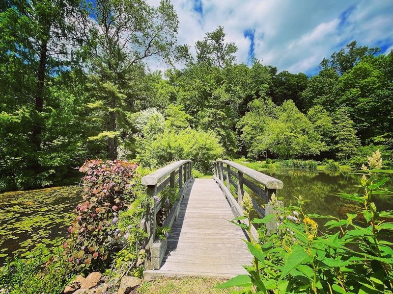 What to Know Before Visiting Leonard J. Buck Garden