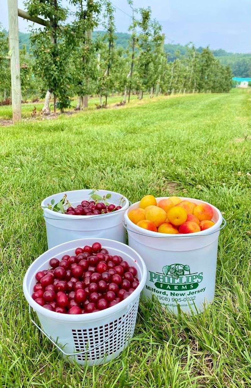 What to Know Before You Bring Your Bucket