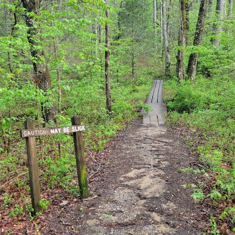 What to Know Before You Go: Trail Length, Parking, Dogs, and Tips