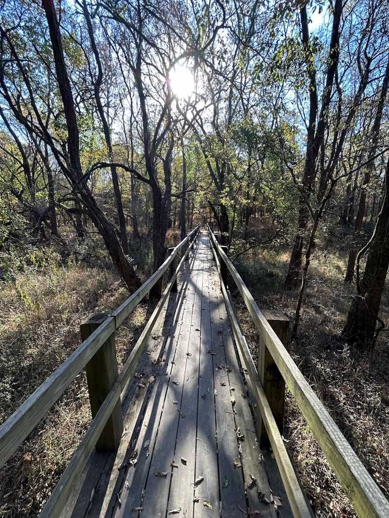 What to Know Before You Visit Henry Horton State Park