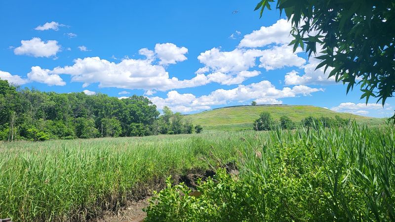 What to Know Before You Visit This Easy Union County Trail