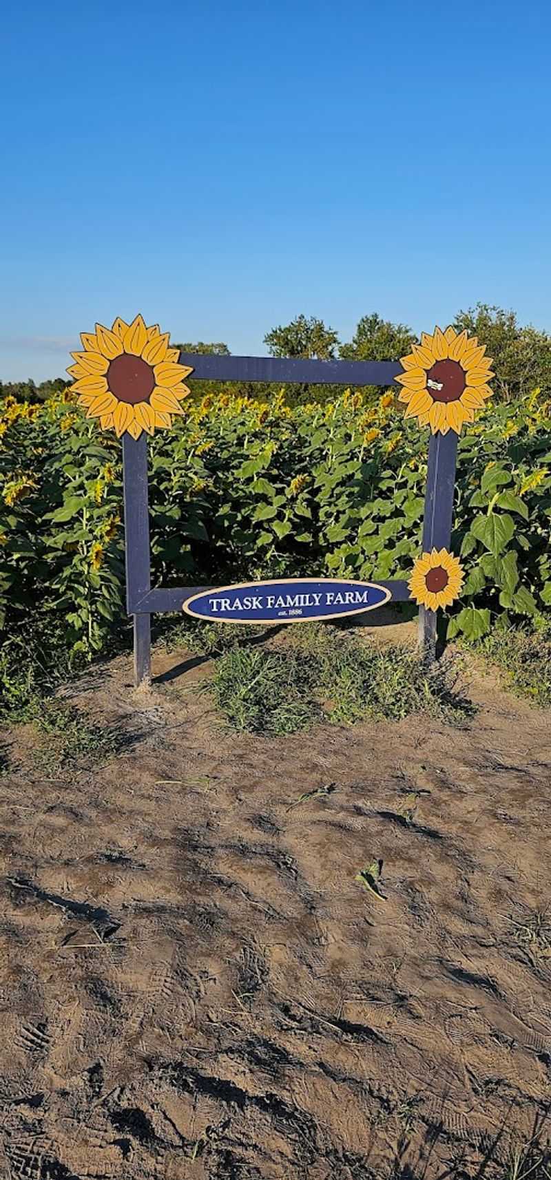 What to know before you go to Trask Family Farms What to know before you go to Trask Family Farms