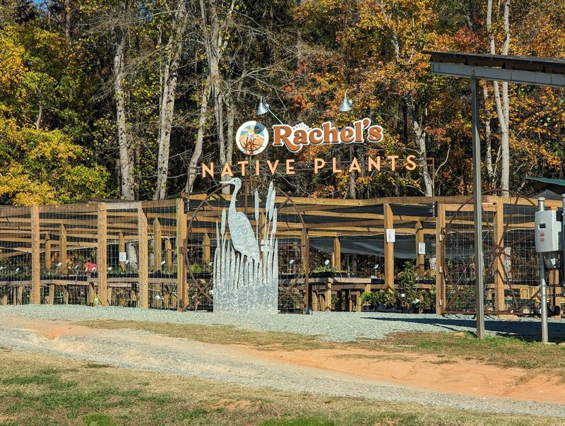 What to know before you visit Rachel’s What to know before you visit Rachel’s