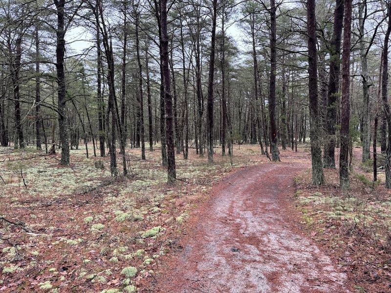 What visitors should know before exploring this wild corner of New Jersey What visitors should know before exploring this wild corner of New Jersey