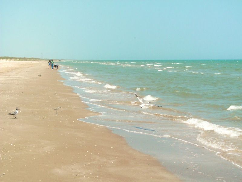Where The River Meets The Gulf Where The River Meets The Gulf