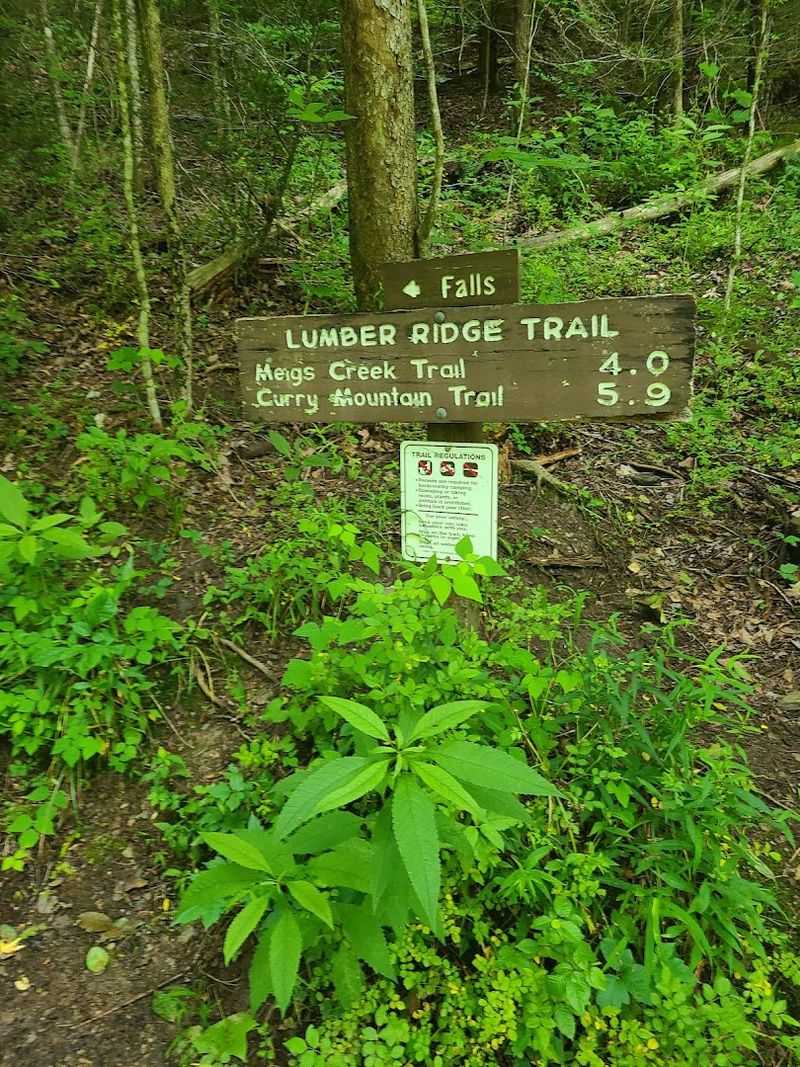 Where To Find Lumber Ridge Trail Trailhead Near Tremont Where To Find Lumber Ridge Trail Trailhead Near Tremont