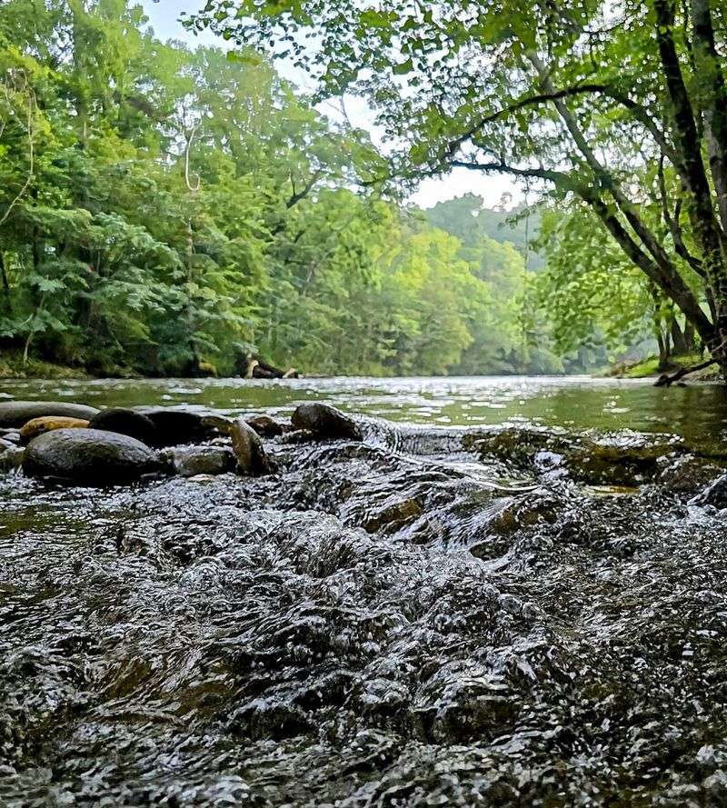 Where the Little River Sets the Scene