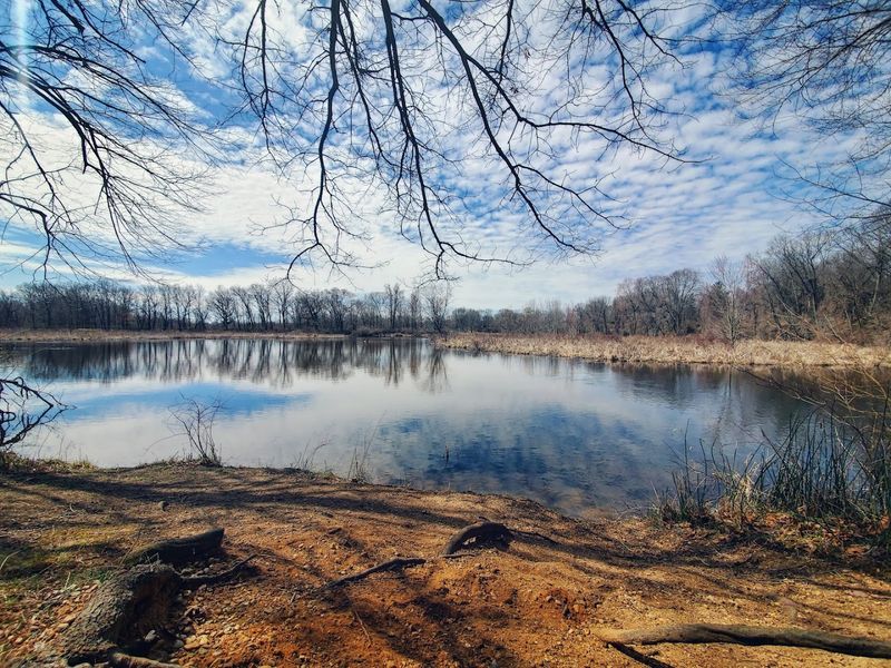 Where the River Meets the Marsh: A First Look at the Landscape
