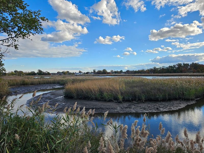 Why Birdwatchers Keep Coming Back to Hawk Rise Sanctuary