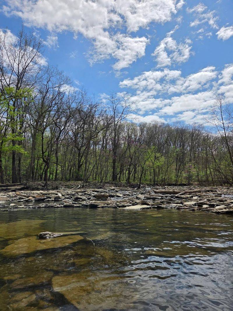 Why Caesar Creek Is a Fossil Hunter's Dream Why Caesar Creek Is a Fossil Hunter's Dream