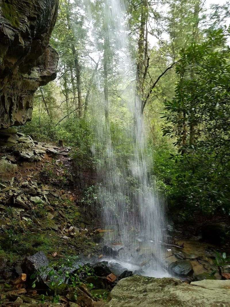 Why Colditz Cove Deserves a Spot on Your Tennessee Waterfall Bucket List