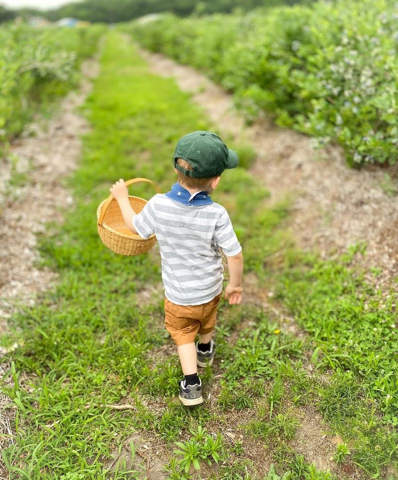 Why Emery’s Farm Feels Like a Sweet Little Jersey Tradition Why Emery’s Farm Feels Like a Sweet Little Jersey Tradition