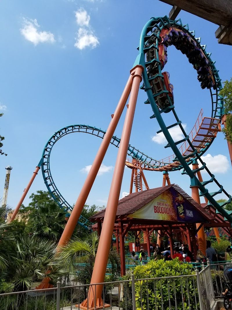 Why Family Coasters Matter at Theme Parks