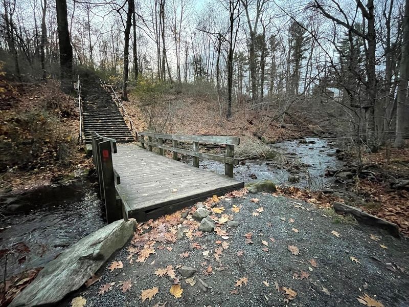 Why Hacklebarney Still Feels Like One of New Jersey’s Best Natural Secrets Why Hacklebarney Still Feels Like One of New Jersey’s Best Natural Secrets