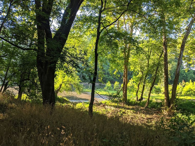Why Henry Horton State Park Feels Like a Hidden Gem Near Nashville