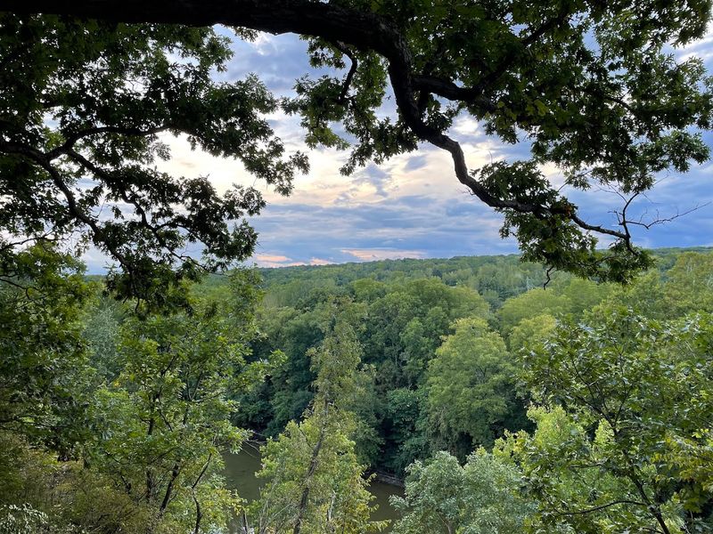 Why Highbanks Feels Like an Instant Escape Why Highbanks Feels Like an Instant Escape