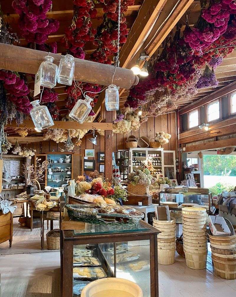 Why Hurd Orchards Deserves a Spot on Your New York Day-Trip List