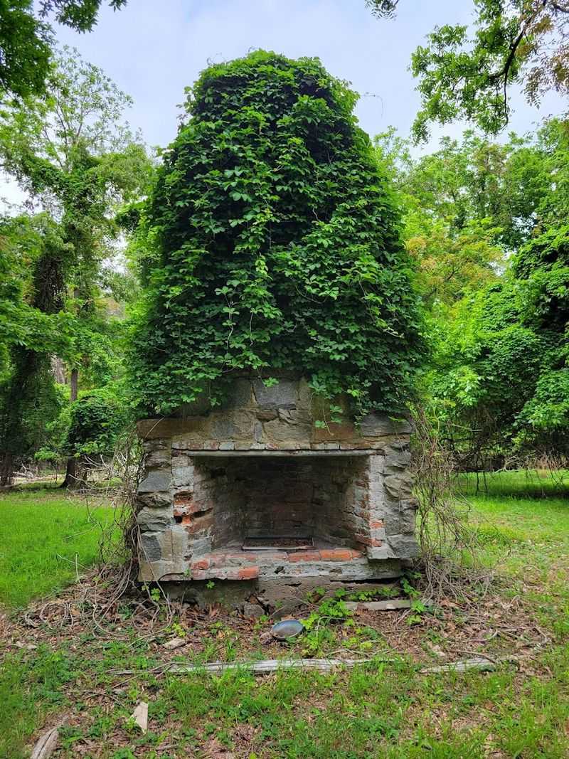 Why Manumuskin River Preserve feels untouched by time Why Manumuskin River Preserve feels untouched by time