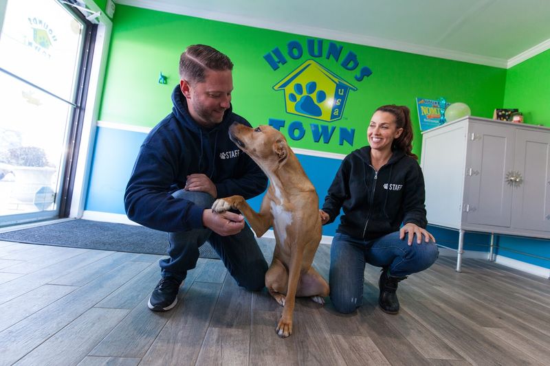 Why New Jersey Pet Parents Are Talking About This Luxury Dog Daycare