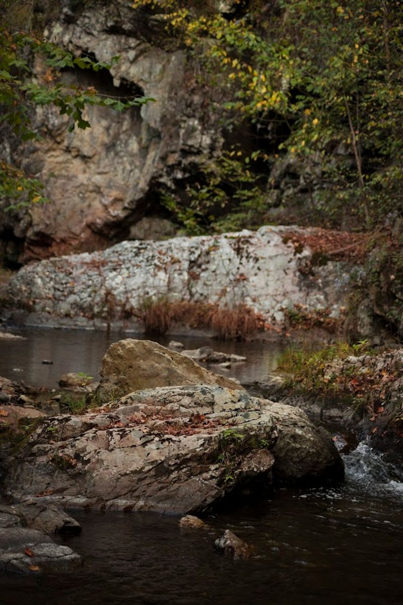 Why Paint Creek Deserves A Spot On Your 2026 Tennessee Travel List Why Paint Creek Deserves A Spot On Your 2026 Tennessee Travel List