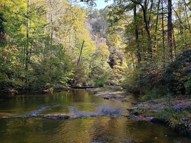 Why Paint Creek Is One Of Tennessee's Most Peaceful Hidden Gems Why Paint Creek Is One Of Tennessee's Most Peaceful Hidden Gems
