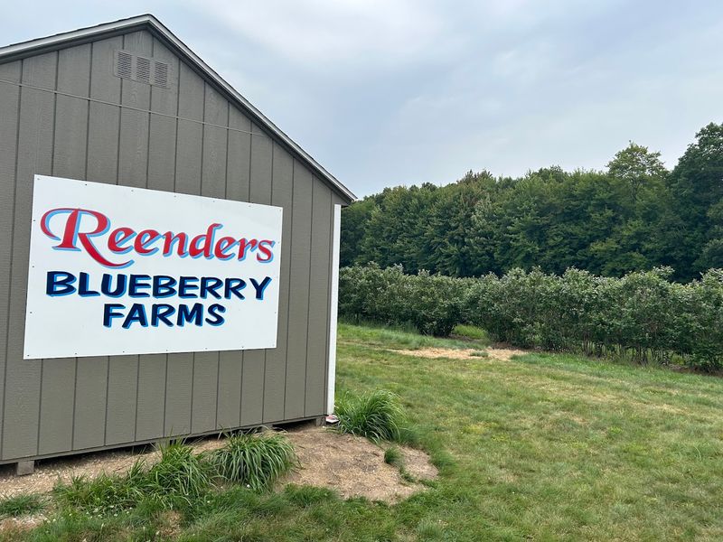 Why Reenders Stands Apart From Every Other Farm Stand On The Drive