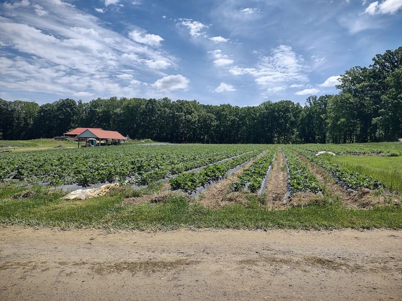 Why Rudd Farm belongs on your spring bucket list Why Rudd Farm belongs on your spring bucket list