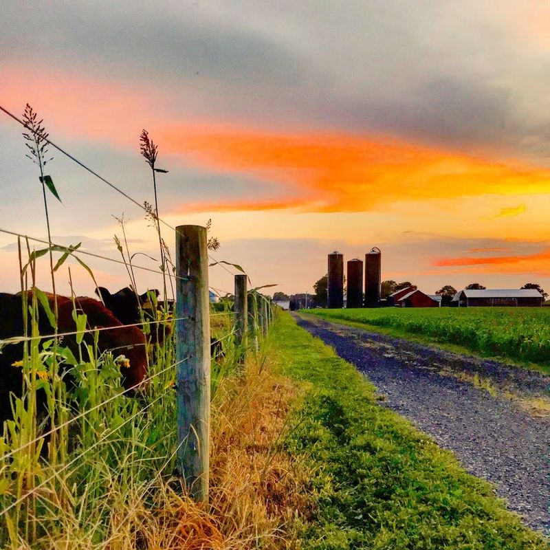 Why Sickler’s Circle View Farm Is Worth the Drive to Monroeville