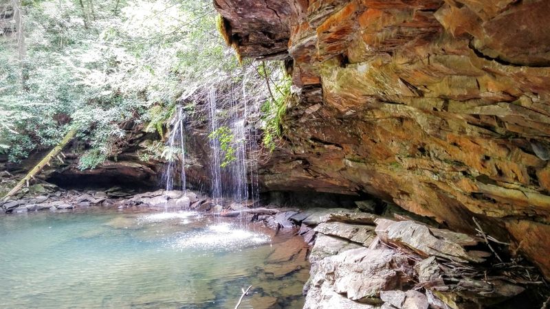 Why Spring City Is One Of Tennessee's Sweetest Small-Town Escapes