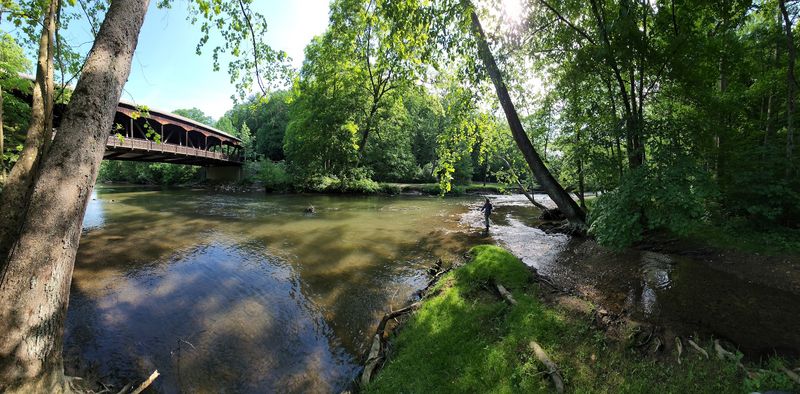 Why The Setting Feels So Peaceful