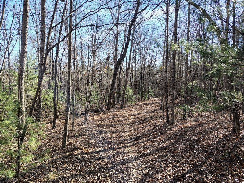 Why This Easy Tennessee Waterfall Hike Belongs On Your Weekend List Why This Easy Tennessee Waterfall Hike Belongs On Your Weekend List
