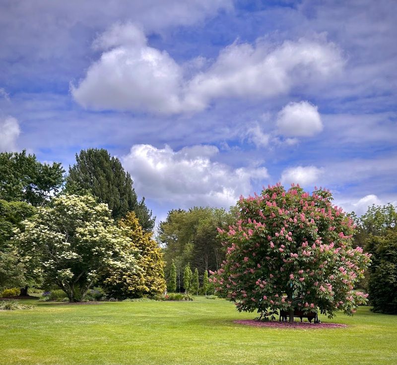 Why This Free Central Jersey Garden Deserves Way More Attention Why This Free Central Jersey Garden Deserves Way More Attention
