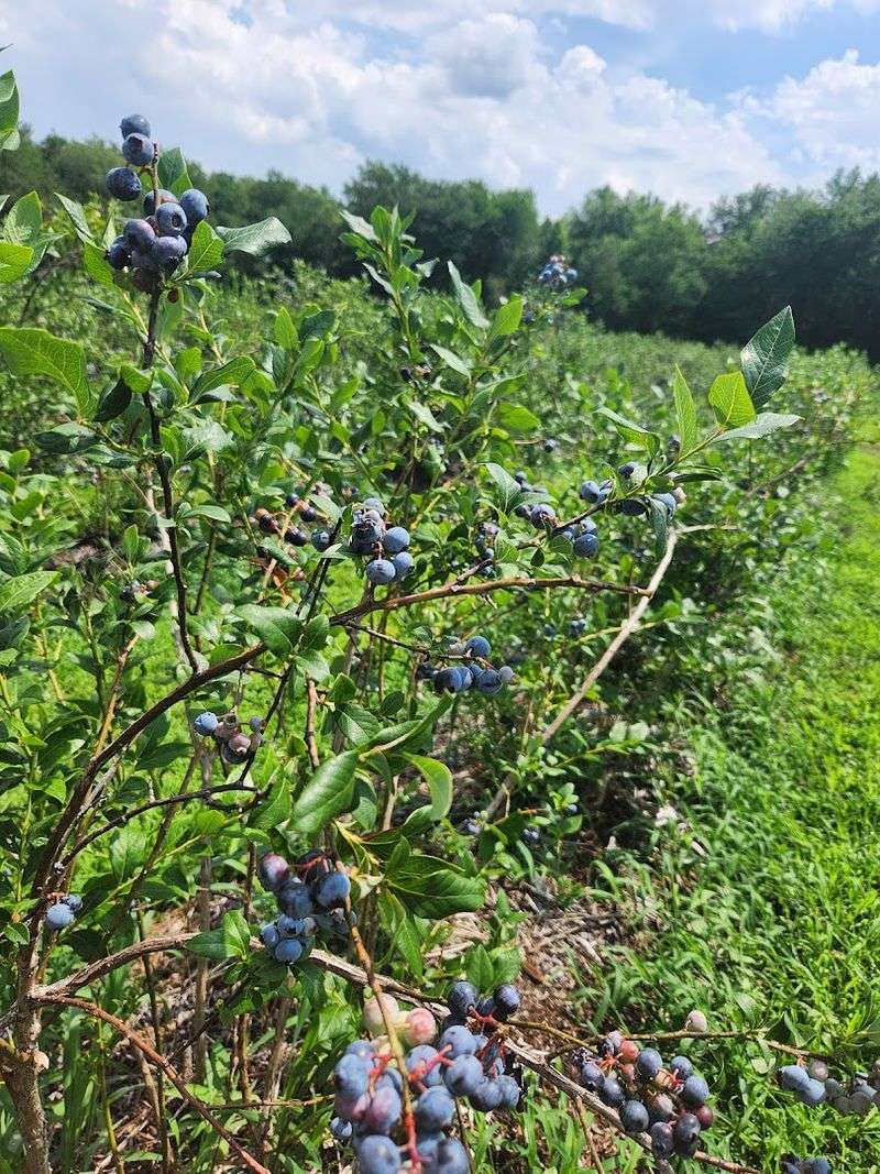 Why This New Egypt Farm Belongs on Your Weekend List Why This New Egypt Farm Belongs on Your Weekend List