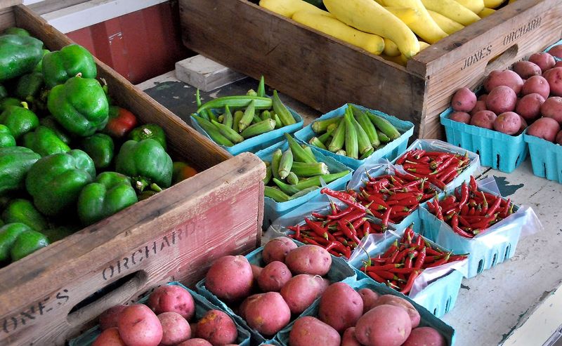 Why This Orchard Feels Like A True Tennessee Summer Escape