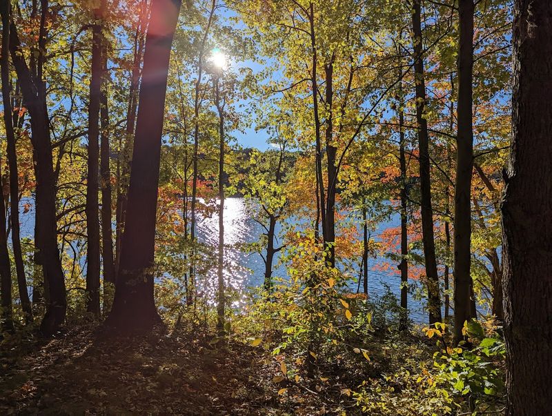 Why This Park Feels Like a Secret
