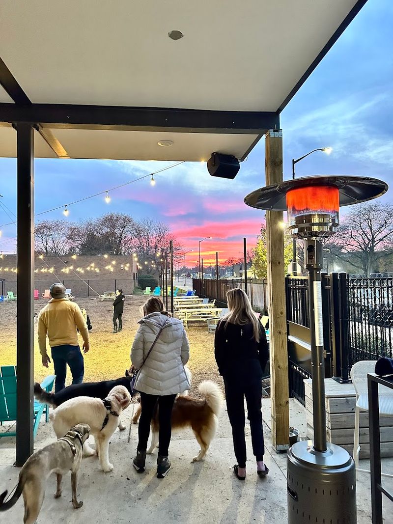 Why This Place Has Become a Daily Ritual for So Many Detroit Dog Owners Why This Place Has Become a Daily Ritual for So Many Detroit Dog Owners