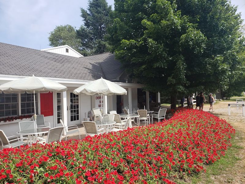 Why This Quiet Mears Garden Stands Apart From Typical Michigan Stops Why This Quiet Mears Garden Stands Apart From Typical Michigan Stops