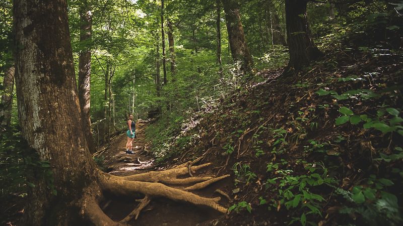 Why This Smoky Mountains Hike Feels So Underrated