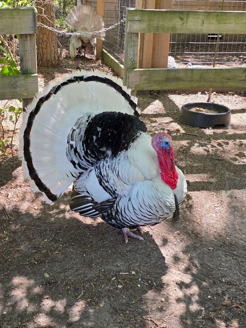 Why This South Jersey Sanctuary Leaves Such A Lasting Impression Why This South Jersey Sanctuary Leaves Such A Lasting Impression