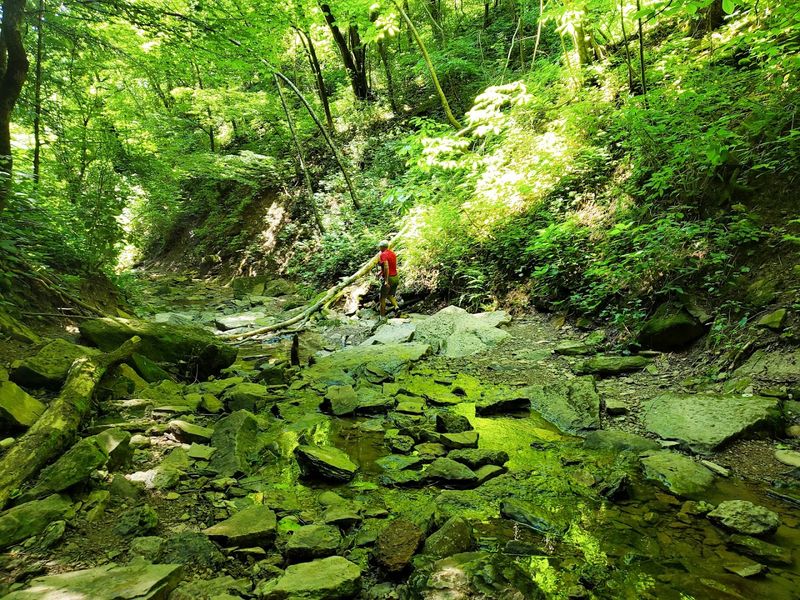 Why This Spot Feels Like A True Hidden Gem Why This Spot Feels Like A True Hidden Gem