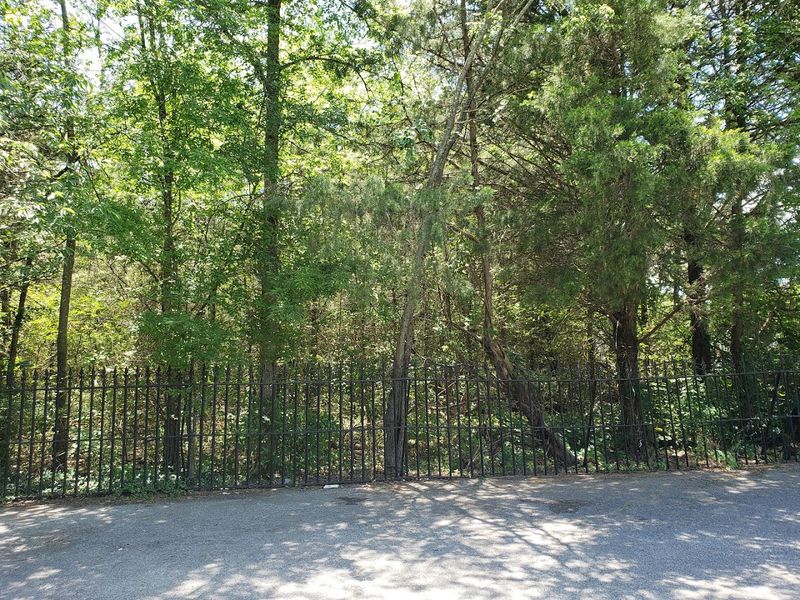 Why This Spot in Murfreesboro Matters More Than It Looks